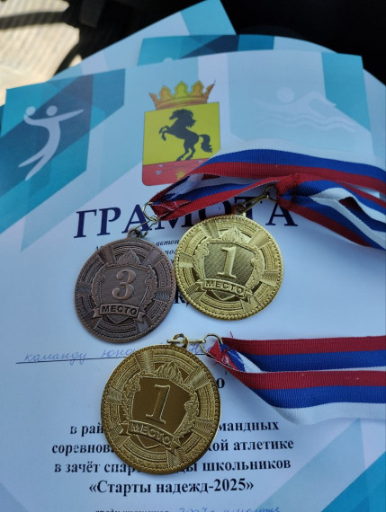 Соревнования по лёгкой атлетике.